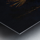 Tims Tipi Metal print