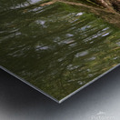 Eye Of Gaia Metal print