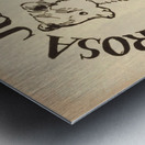 Vintage Santa Rosa Junior College Bear Cub Art Metal print