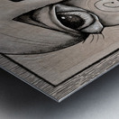 Eyes of Contrast Metal print