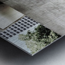 BONNAVENTURE VIII Metal print