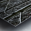 Trees Outlined with Snow  Metal print