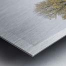 FRISSON DE SAISON Metal print