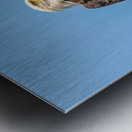 Sitting Pretty Metal print