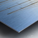 Tall Sailing Vessels in Newport Rhode Island Metal print