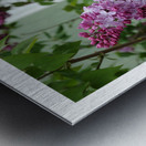 LE BAIN DE LILAS Metal print
