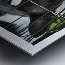 CACHOT Impression metal