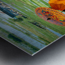 Saffron in the paddy fields Metal print