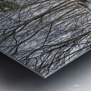 G10 Blackedge Falls Frozen Over Metal print