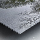 G20 Among the Pines Metal print