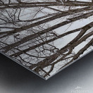 G13 Farmstand at Bussa Orchards Metal print