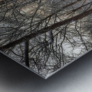 G19 Shining Light Metal print