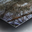 G12 Roaring Brook Metal print