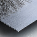 G16 Gray Days of Winter Metal print