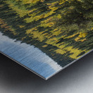 Fall Colors 3 Metal print