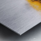 Deep Thoughts Metal print