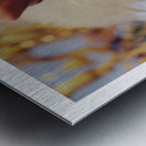 PHILEMON Metal print