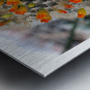 DES FLEURS SUR UN LIT D EPINES Metal print