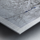 SOUS LA NEIGE Metal print