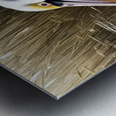 BeCasso 2024 01 30 21 45 18 Metal print