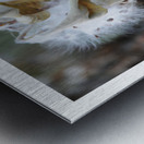 LE POTENTIEL Metal print