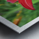 LA MOUCHE Metal print