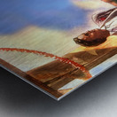 1909 California Beach Art Metal print