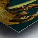 Papaya dangle Metal print