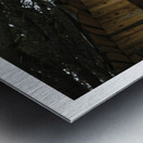 LA FIERTE Metal print