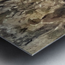 Finding Beauty Metal print