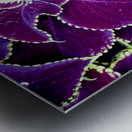Deep Purple Magic Metal print
