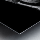 ANGER Impression metal