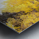 Golden Metal print