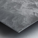 Dare To Soar Metal print