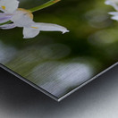 MY Flower Metal print
