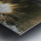 Let There Be Light 2 Metal print