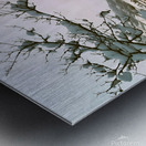 Snowy Sunset On Riversite Vintage Metal print