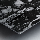 BoneYard Metal print