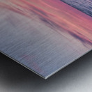 P7152054 2 Metal print