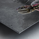 Railway TracksBW Metal print