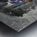 Bull Dogger Metal print