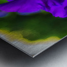 Purple Iris2 Metal print