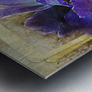 Blue Peony Metal print