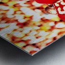 Danny McManus Florida State Art Metal print