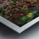 L EFFEUILLEUR Metal print
