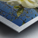LE RECUL VERS L AVANT Metal print