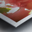 LA TRANSPARENCE Metal print