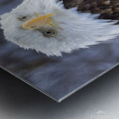 Majestic Eagle Metal print
