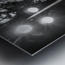 avenue champs elysee lamp post  square 2443 Elyse Metal print