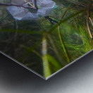 Mysterious Underwater Reflections Metal print